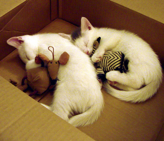 出发反应时间优于组内平均水平